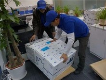 惠州裝卸搬運(yùn)工與倉儲(chǔ)服務(wù) 高效物流的核心支撐